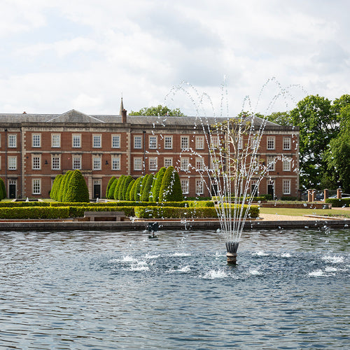 Things to do in Winchester