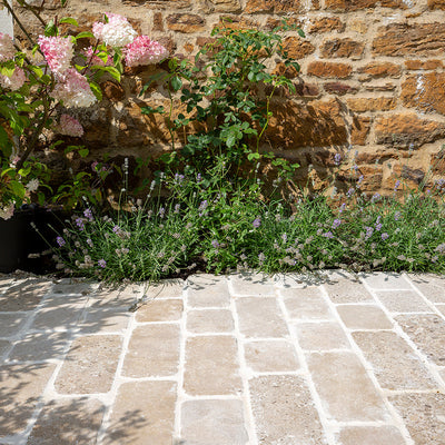 cobblestone patio with a golden cottage wa