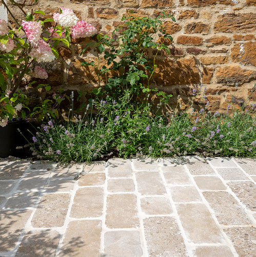 cobblestone patio with a golden cottage wa
