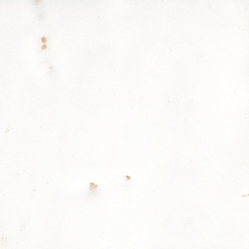 Safi Seashell Gloss Decorative Tiles