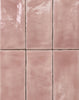 Arta Rosewater Gloss Brick Tiles