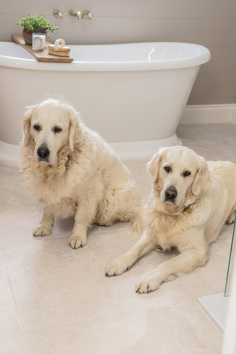Dijon Rendition® by QS Stone Effect Porcelain Tiles