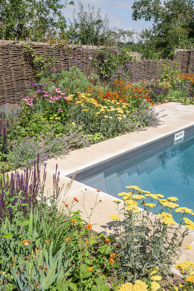 Dijon Seasoned Limestone Paving