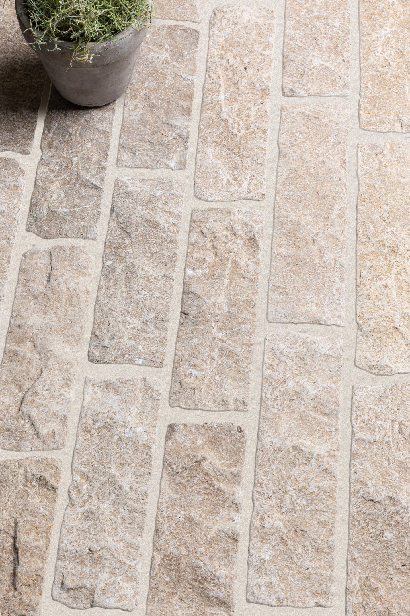 Dijon Seasoned Limestone Split Face Cobbles