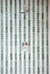 Pastello Pistachio Gloss Metro Tiles