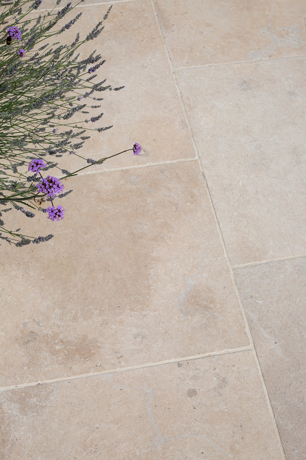 Tuscany Tumbled Limestone Bullnose Step